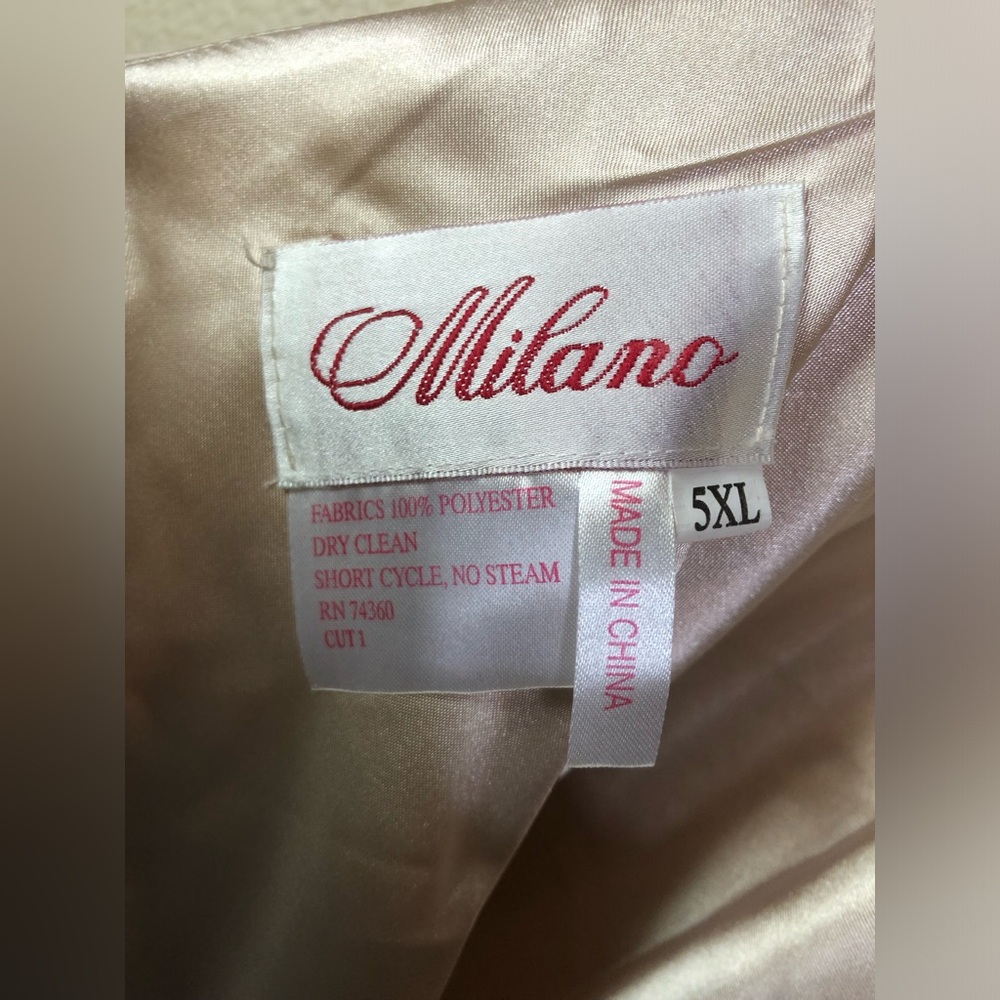 Milano Formals Chiffon Gown Champagne NWT 5XL - Picture 8 of 10